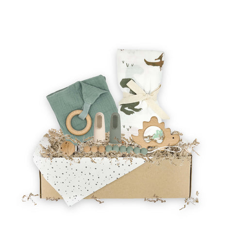 CADEAUBOX DINO | M